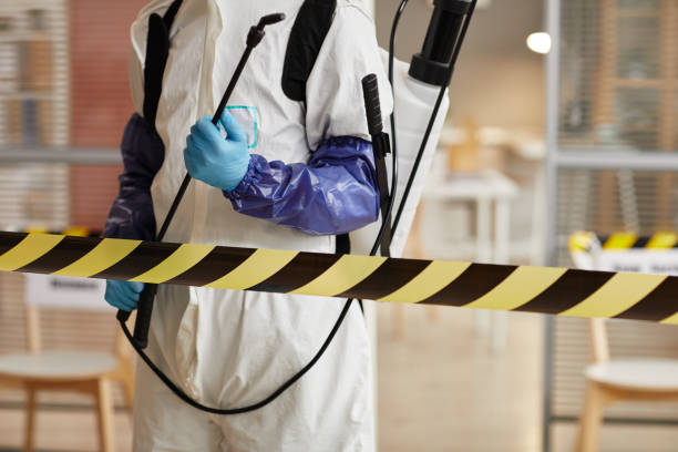 Professional Sewage Cleanup technician working in Shoreham, NY
